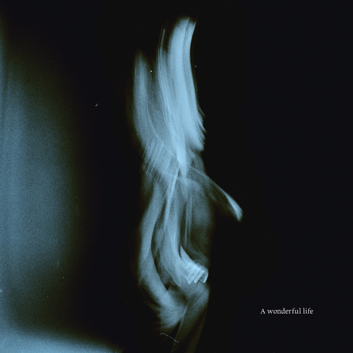A Wonderful Life | Get Cheap Vinyl