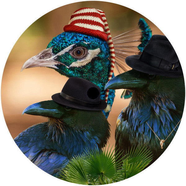 Bird Gang | Mint (M) Generic Get Cheap Vinyl
