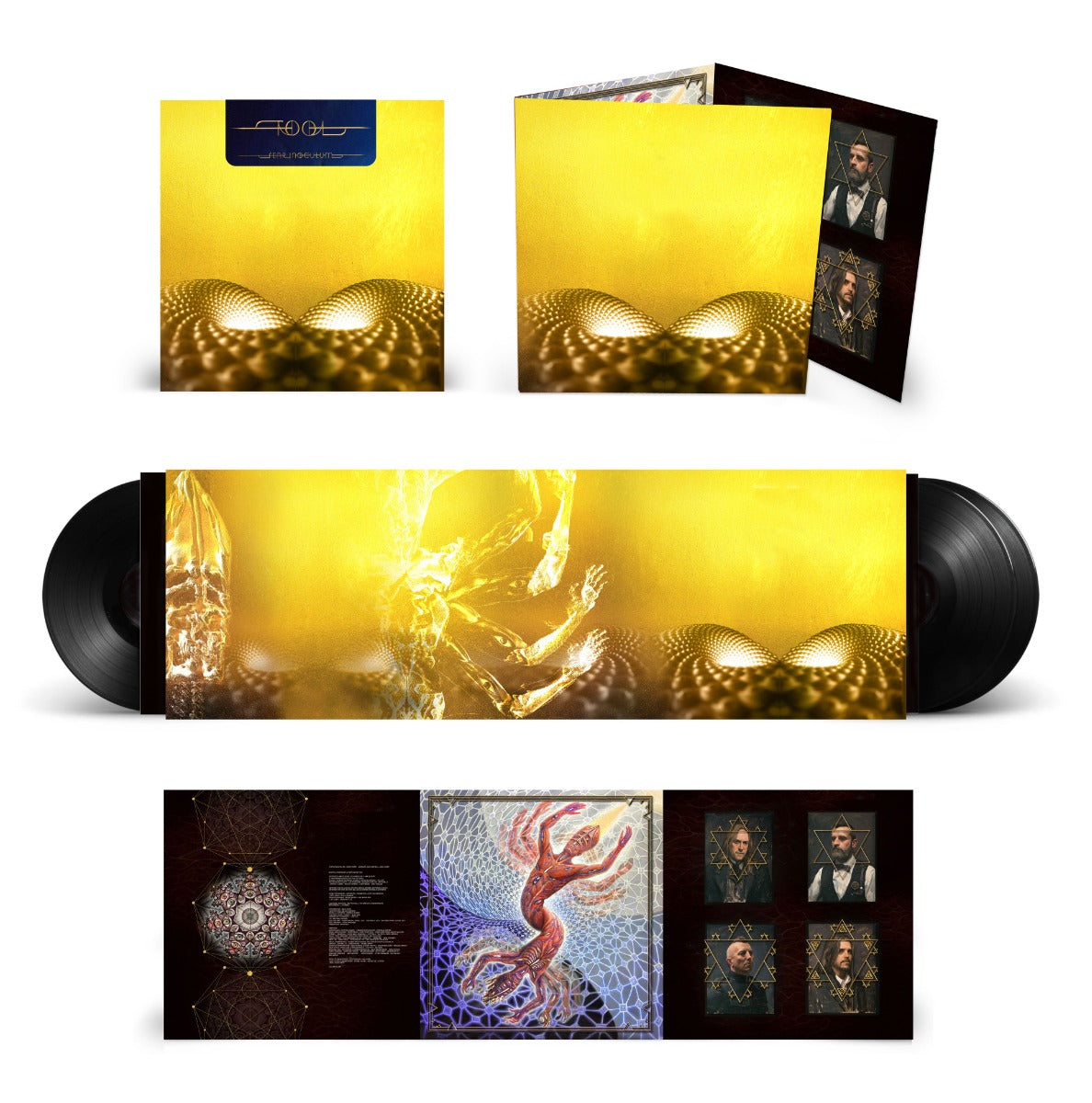 Fear Inoculum (180 GRAM VINYL) | Mint (M) Mint (M) Get Cheap Vinyl