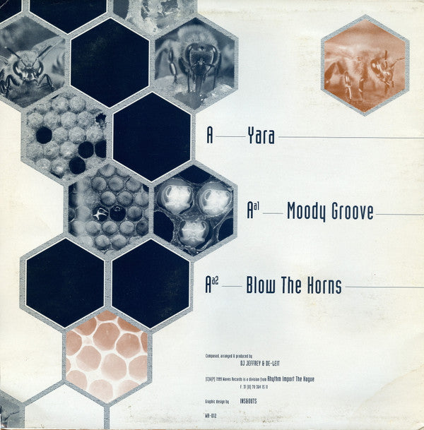 Moody Groove | Very Good (VG) Very Good Plus (VG+) Get Cheap Vinyl