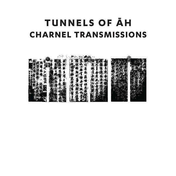 Charnel Transmissions | Get Cheap Vinyl
