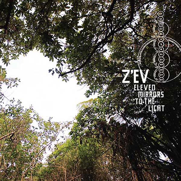 Eleven Mirrors to the Light | Get Cheap Vinyl