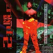 STRICTLY 4 MY NIGGAZ (CD) | Mint (M) Mint (M) Get Cheap Vinyl