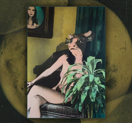 Mother Moon | Get Cheap Vinyl