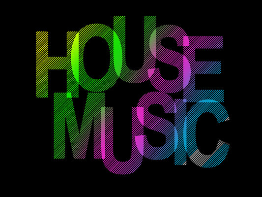 8 House Vinyl Records (Grab Bag) | Very Good Plus (VG+) Very Good Plus (VG+) Get Cheap Vinyl