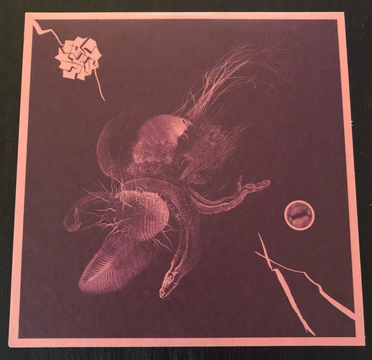 Now That You've Found It | Mint (M) Mint (M) Get Cheap Vinyl