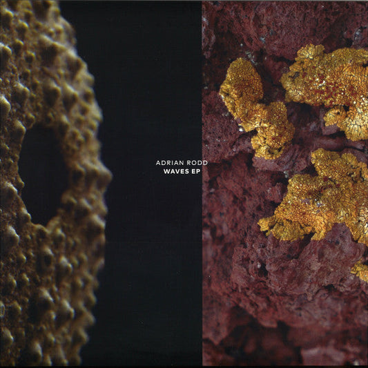 Waves | Mint (M) Mint (M) Get Cheap Vinyl