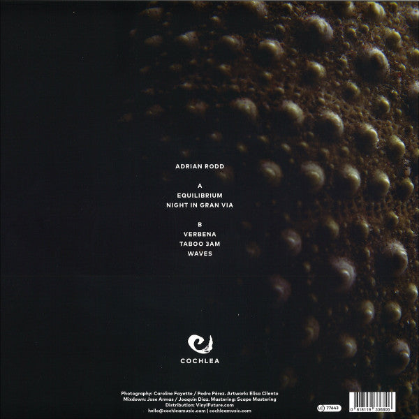 Waves | Mint (M) Mint (M) Get Cheap Vinyl