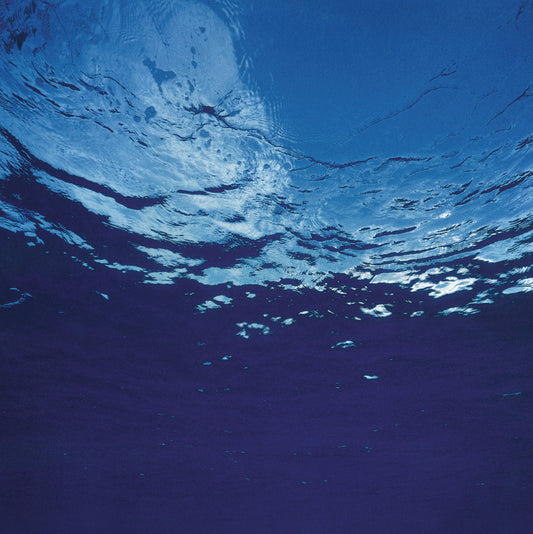Marine Flowers | Get Cheap Vinyl
