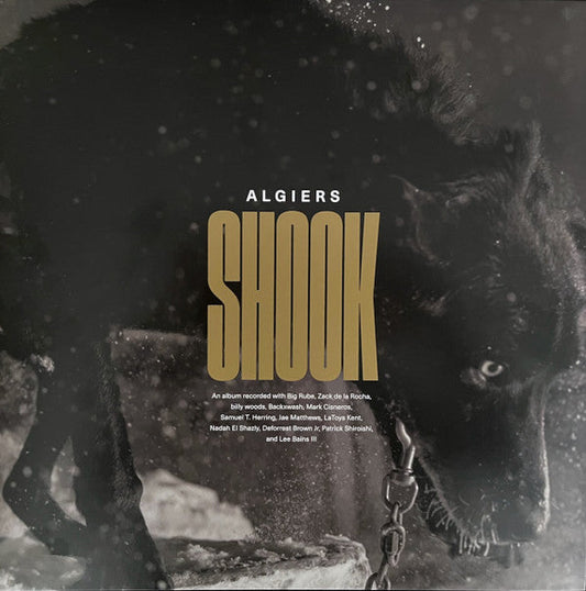 Shook | Mint (M) Mint (M) Get Cheap Vinyl