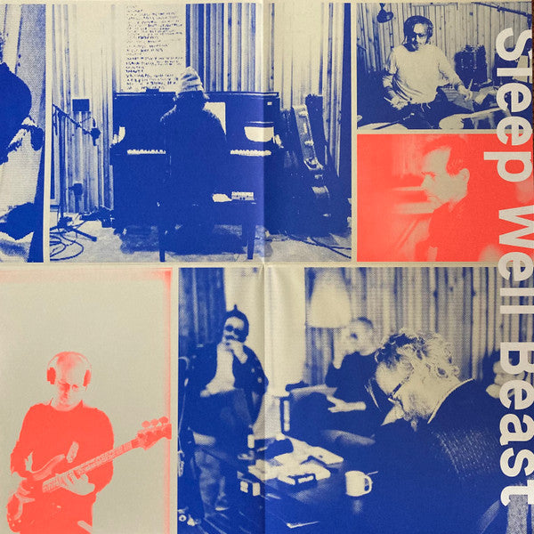 Sleep Well Beast | Mint (M) Mint (M) Get Cheap Vinyl