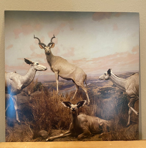 Our Love To Admire | Mint (M) Mint (M) Get Cheap Vinyl
