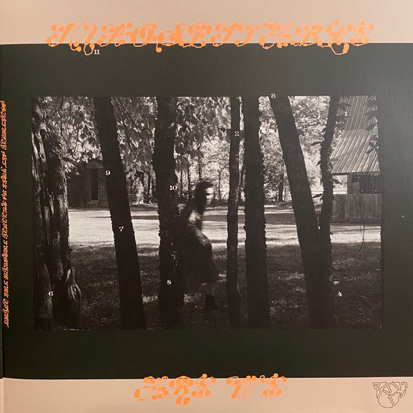 The Land Is Inhospitable And So Are We | Mint (M) Mint (M) Get Cheap Vinyl