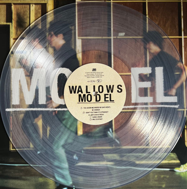 Model (CLEAR VINYL) | Mint (M) Mint (M) Get Cheap Vinyl