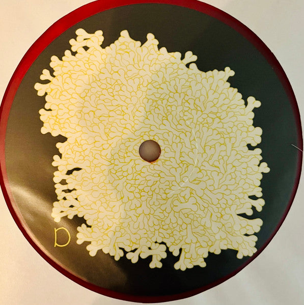 Sung Tongs | Mint (M) Mint (M) Get Cheap Vinyl