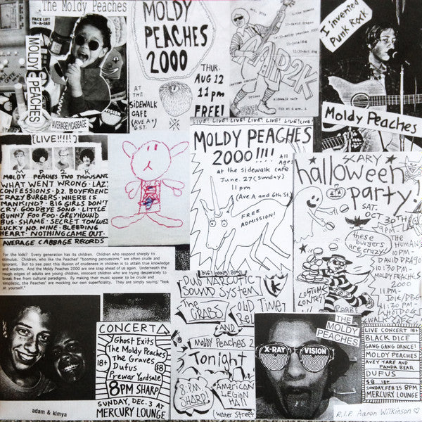 The Moldy Peaches (2xVINYL) | Mint (M) Mint (M) Get Cheap Vinyl