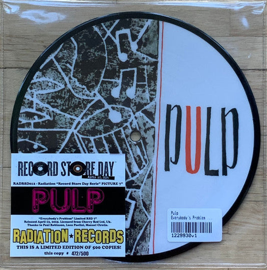 Everybody's Problem (2025 RSD PICTURE VINYL 7") | Mint (M) Mint (M) Get Cheap Vinyl