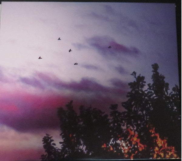 Moon Mirror *CD* | Mint (M) Mint (M) Get Cheap Vinyl