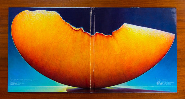 Vinyl Moon Volume 038: Sticky Fruit *SLEEVE ONLY* | Near Mint (NM) Get Cheap Vinyl