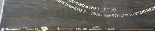 Inuktitut (VINYL) | Mint (M) Mint (M) Get Cheap Vinyl