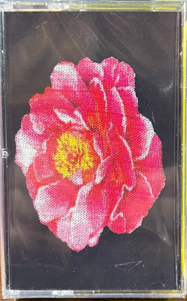Tribute To Nirvana (CASSETTE- UNOFFICIAL ) | Mint (M) Mint (M) Get Cheap Vinyl
