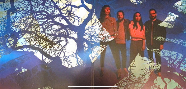 Widow's Weeds | Mint (M) Mint (M) Get Cheap Vinyl