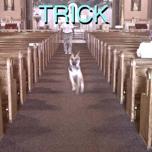 Trick (BONUS 7") | Mint (M) Mint (M) Get Cheap Vinyl