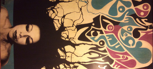 Modern Kosmology (180G DELUXE) | Mint (M) Near Mint (NM) Get Cheap Vinyl