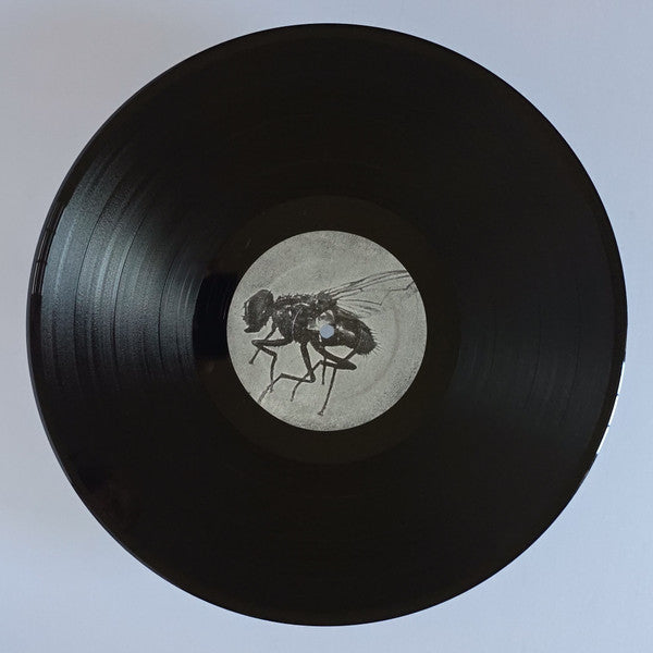 Goodnight El Dorado: Strange Bedfellows In The Aftermath (VINYL) | Mint (M) Mint (M) Get Cheap Vinyl