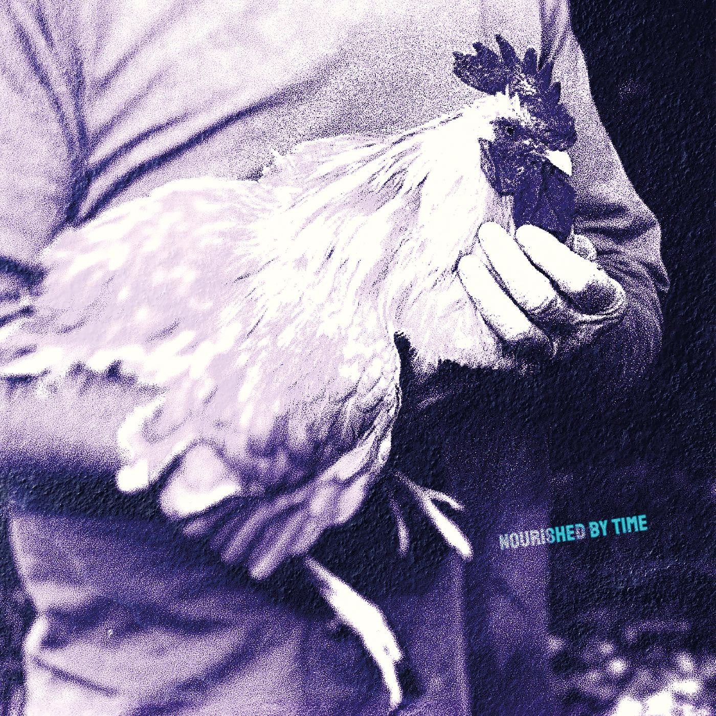 Catching Chickens | Mint (M) Mint (M) Get Cheap Vinyl