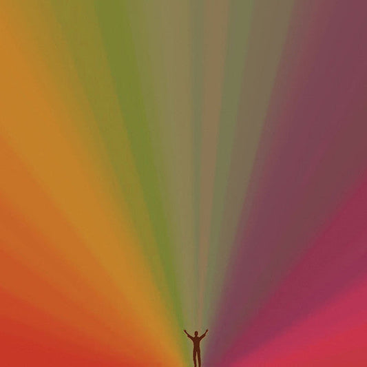 Edward Sharpe And The Magnetic Zeros (VINYL) | Near Mint (NM) Near Mint (NM) Get Cheap Vinyl