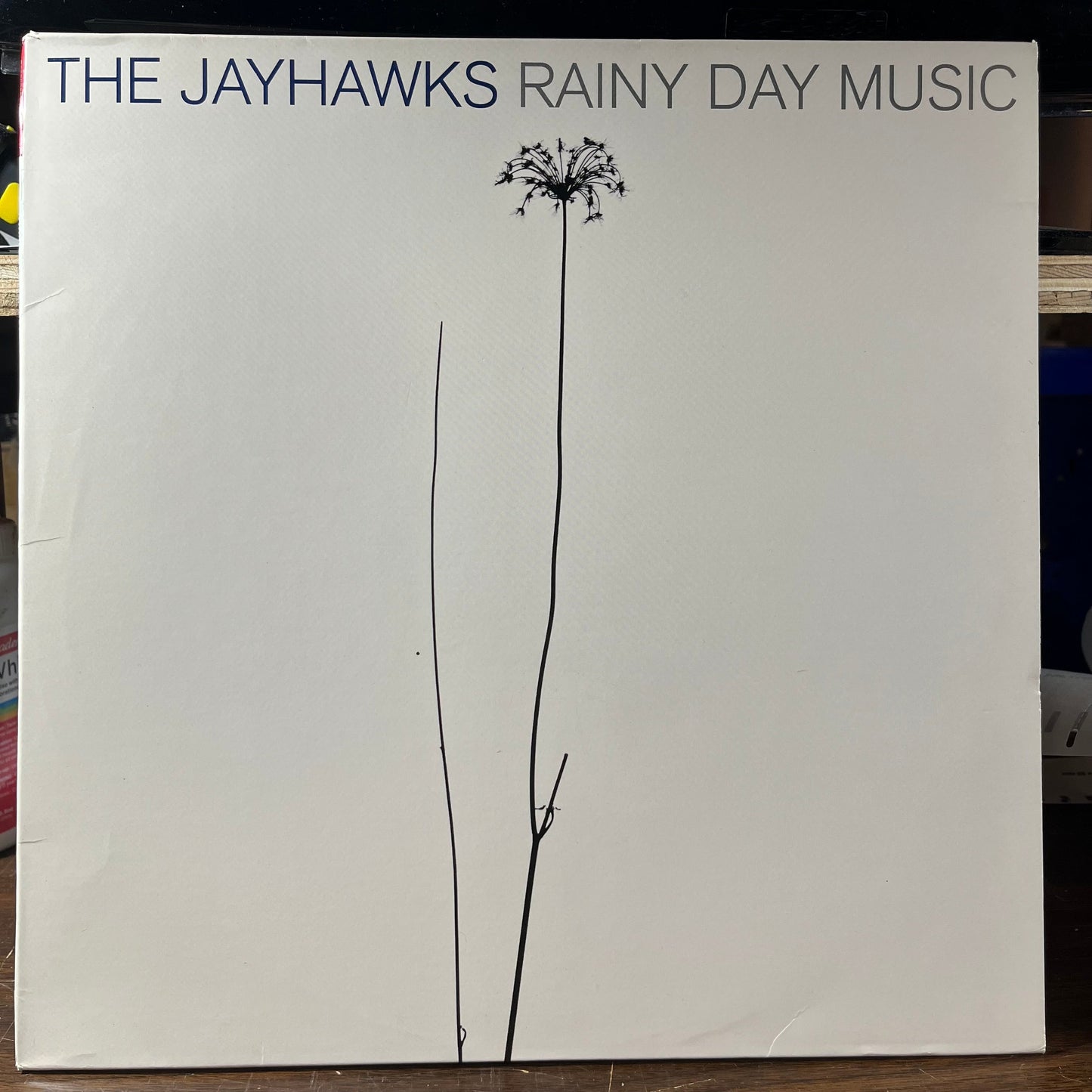 Rainy Day Music (2xVINYL) | Near Mint (NM or M-) Excellent+ (EX+) Get Cheap Vinyl