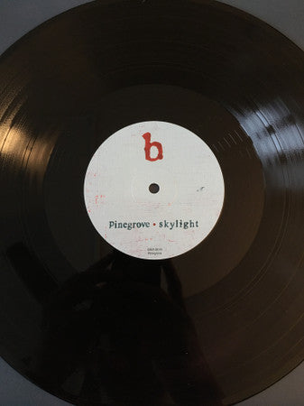 Skylight | Mint (M) Mint (M) Get Cheap Vinyl