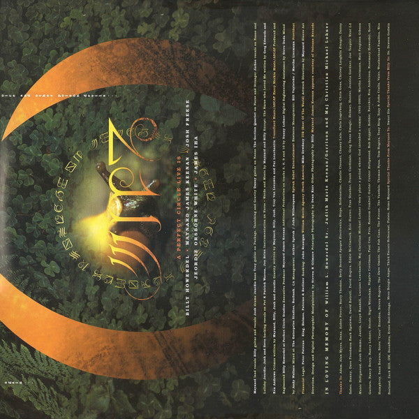 Thirteenth Step | Mint (M) Mint (M) Get Cheap Vinyl