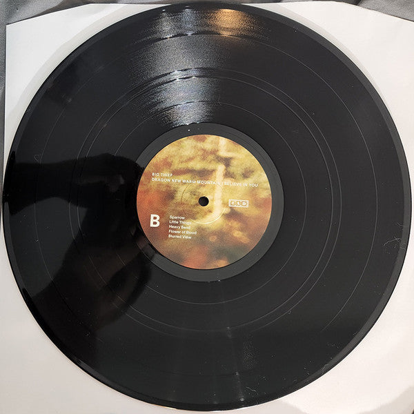 Dragon New Warm Mountain I Believe In You | Mint (M) Mint (M) Get Cheap Vinyl