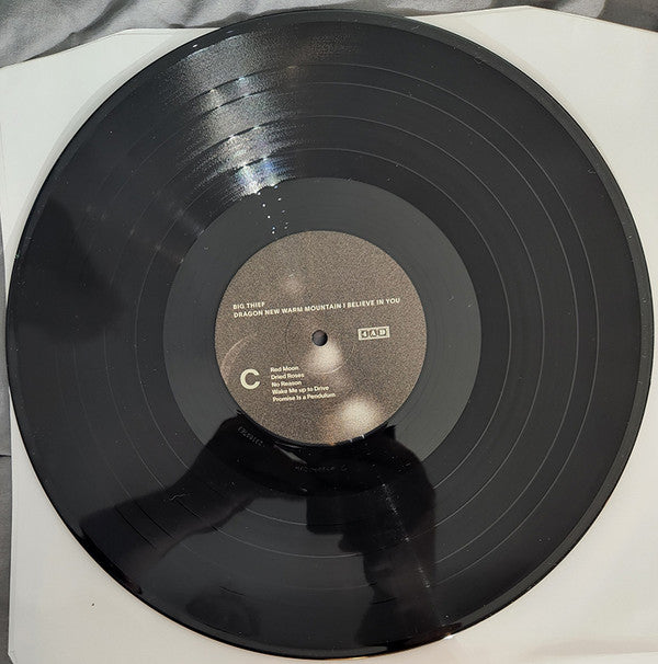 Dragon New Warm Mountain I Believe In You | Mint (M) Mint (M) Get Cheap Vinyl