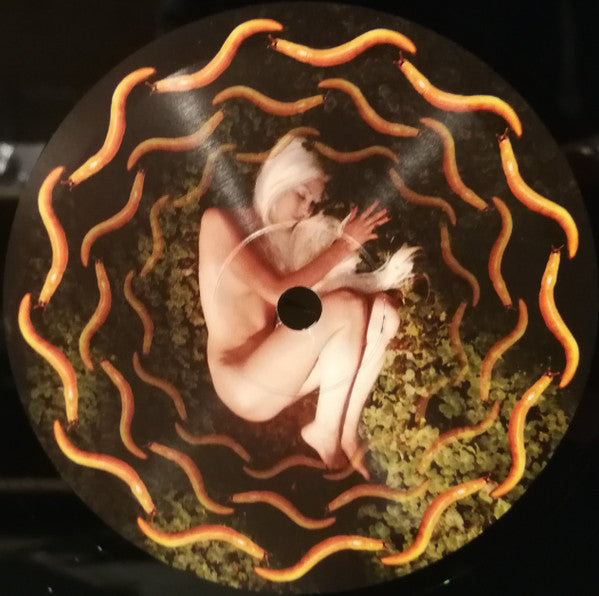 Thirteenth Step | Mint (M) Mint (M) Get Cheap Vinyl