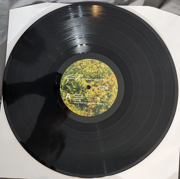 Dragon New Warm Mountain I Believe In You | Mint (M) Mint (M) Get Cheap Vinyl