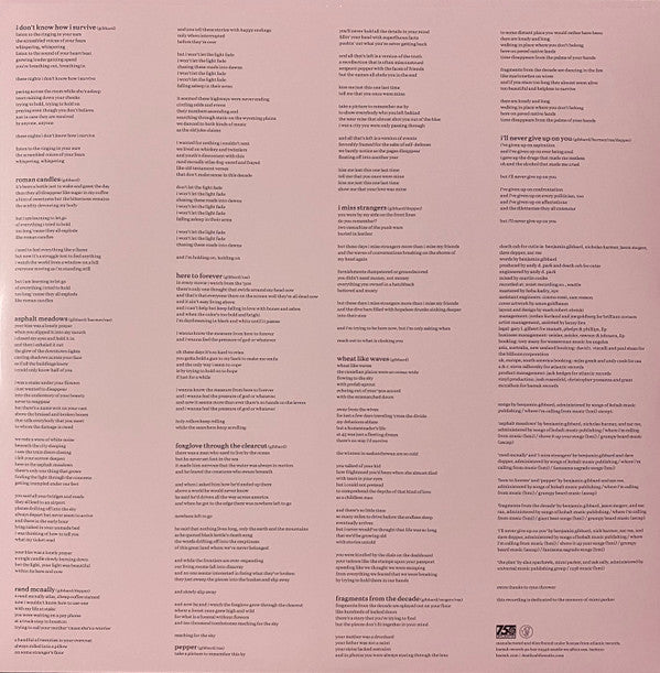 Asphalt Meadows (Acoustic) | Mint (M) Mint (M) Get Cheap Vinyl
