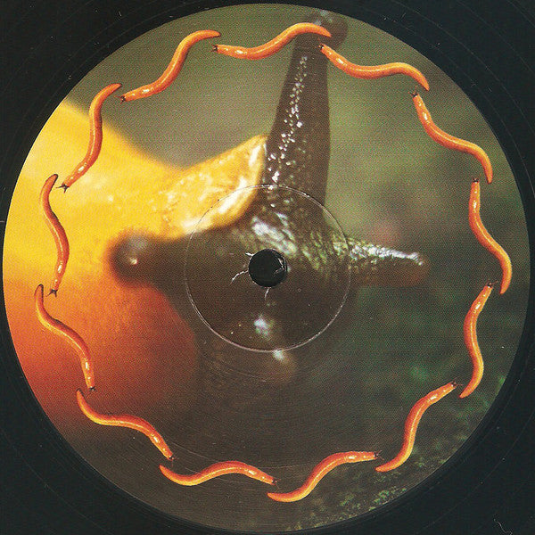 Thirteenth Step | Mint (M) Mint (M) Get Cheap Vinyl