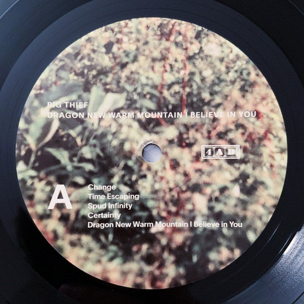Dragon New Warm Mountain I Believe In You | Mint (M) Mint (M) Get Cheap Vinyl