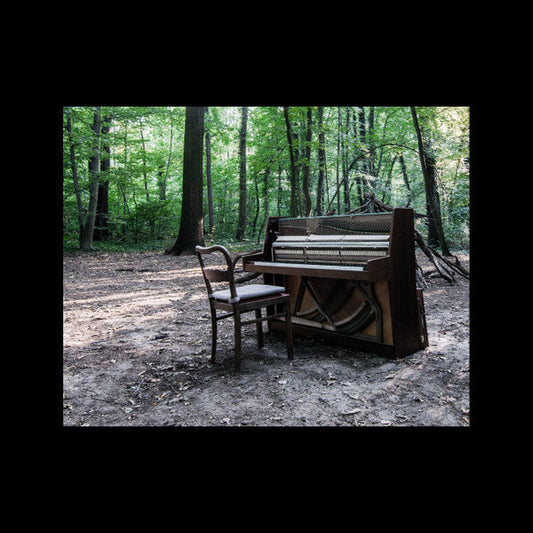 Acoustic II | Mint (M) Mint (M) Get Cheap Vinyl