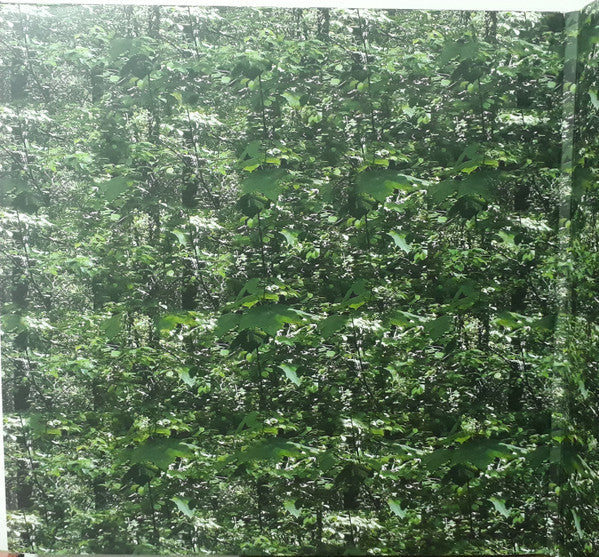 Der Lange Marsch | Mint (M) Mint (M) Get Cheap Vinyl