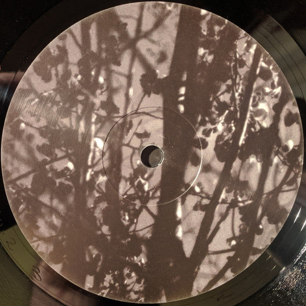 Königsforst | Mint (M) Mint (M) Get Cheap Vinyl