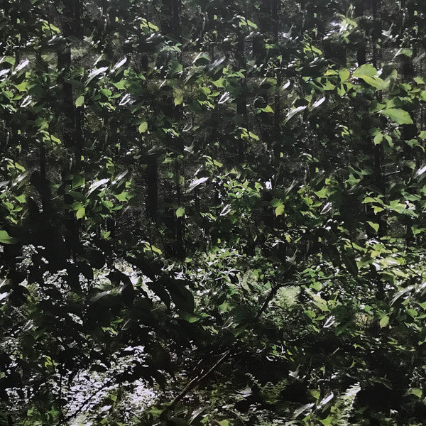 Der Lange Marsch | Mint (M) Mint (M) Get Cheap Vinyl