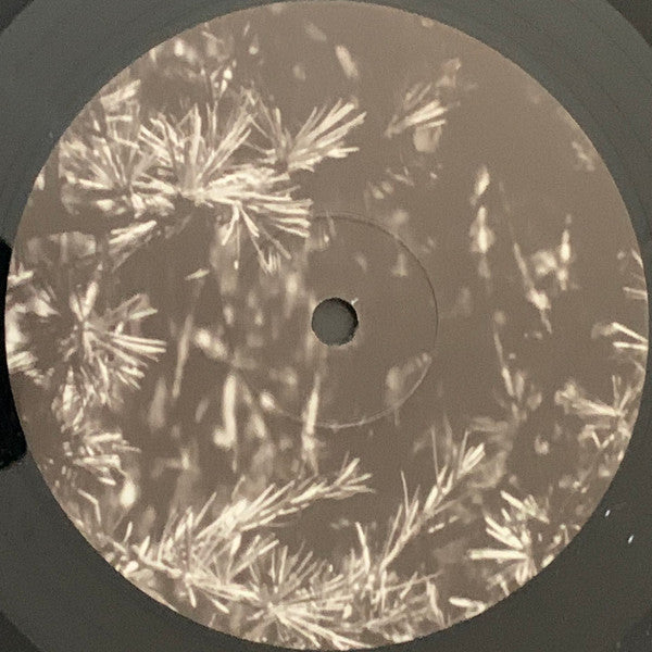 Pop | Mint (M) Mint (M) Get Cheap Vinyl