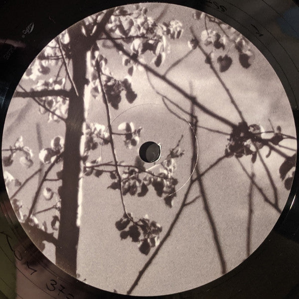 Königsforst | Mint (M) Mint (M) Get Cheap Vinyl