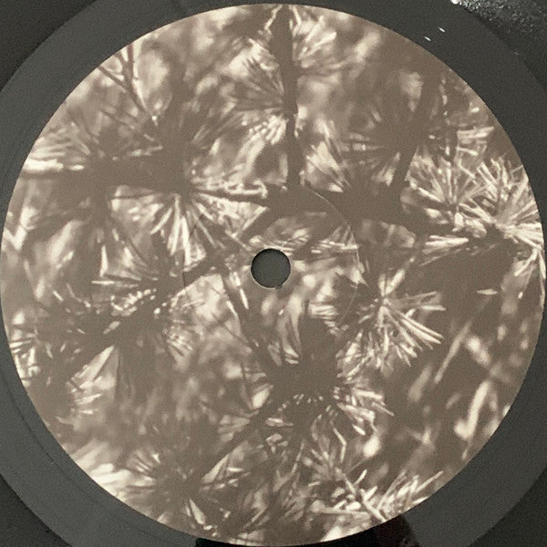 Pop | Mint (M) Mint (M) Get Cheap Vinyl