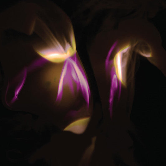 Before The Last Light Is Blown | Mint (M) Mint (M) Get Cheap Vinyl