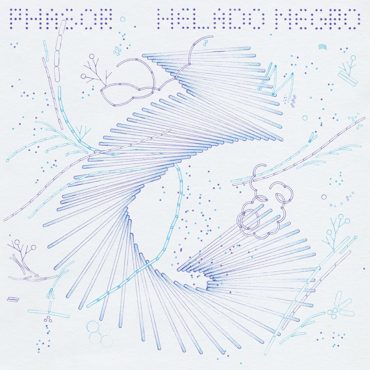 Phasor | Mint (M) Mint (M) Get Cheap Vinyl